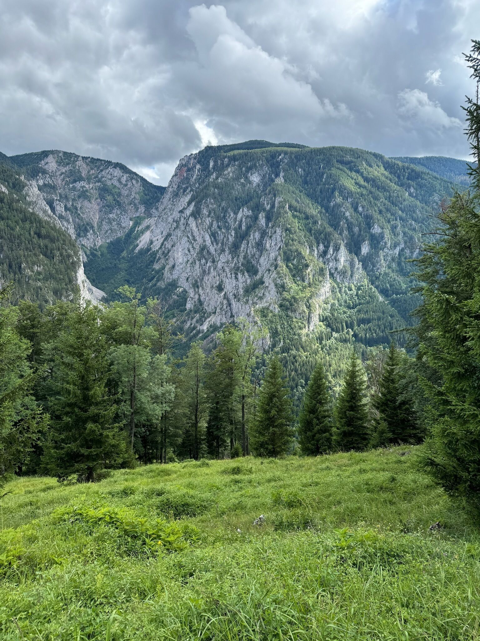 A mountainous landscape with dense forests and rocky cliffs.