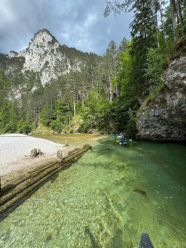 إطلالة على الشارع من المنشأة