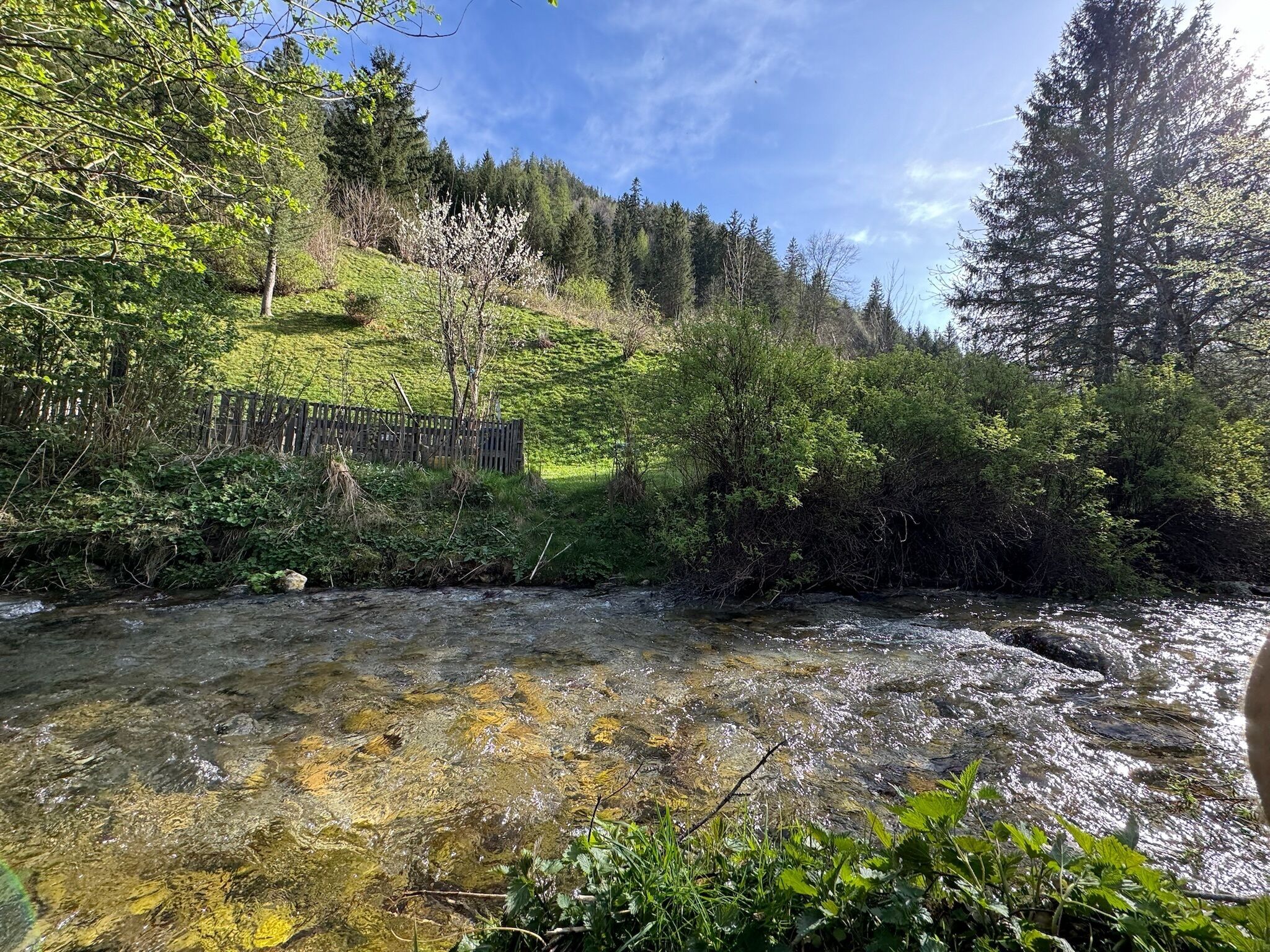 Vista del paisatge des de l'allotjament