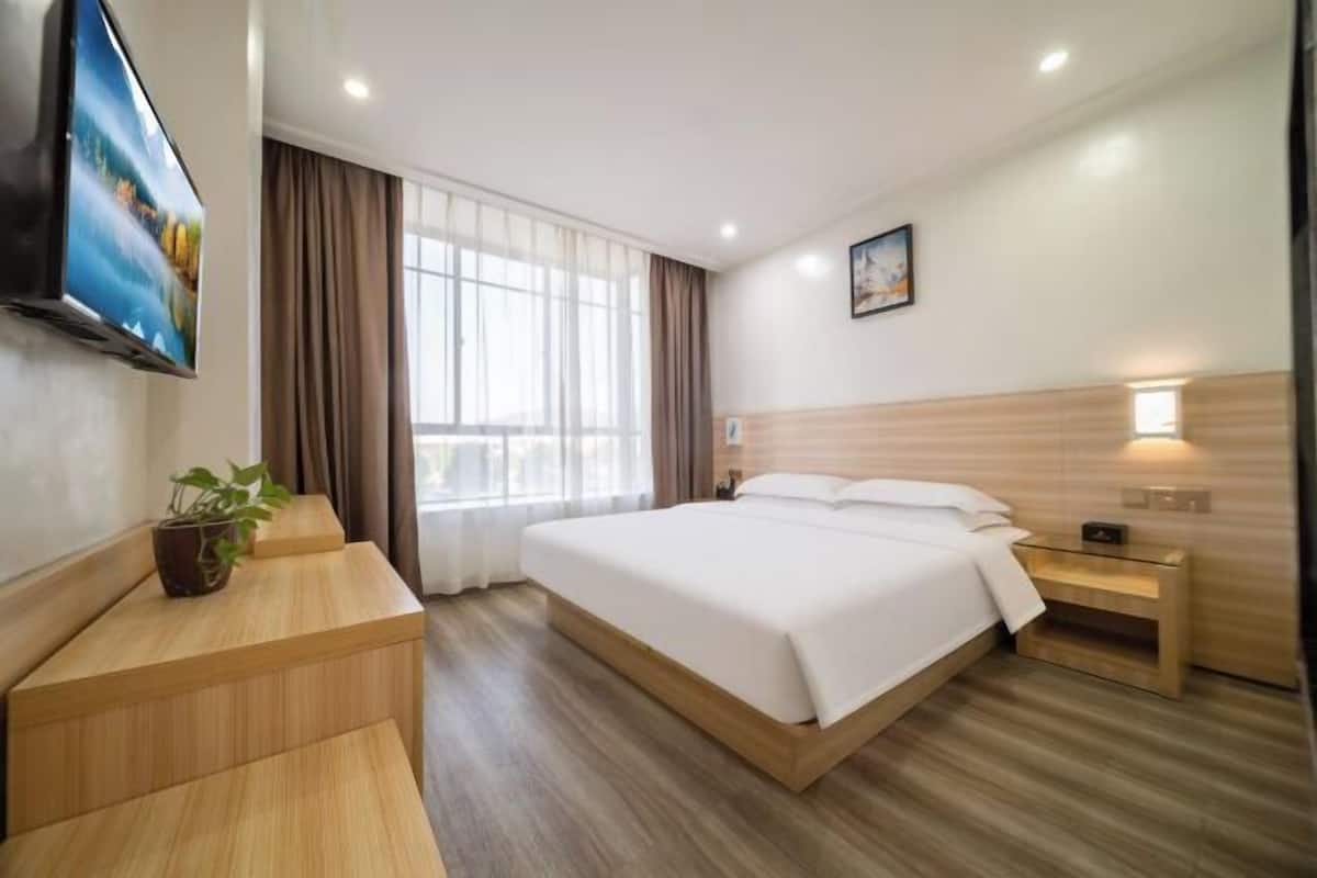 Habitación de hotel con una cama, televisor, mesita de noche, planta y ventana con cortinas.