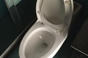 A toilet with a closed lid, a visible seat, and a wall-mounted flush handle.