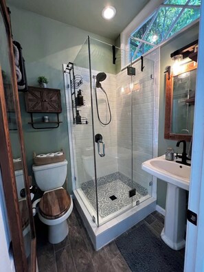 Shower, hair dryer, towels