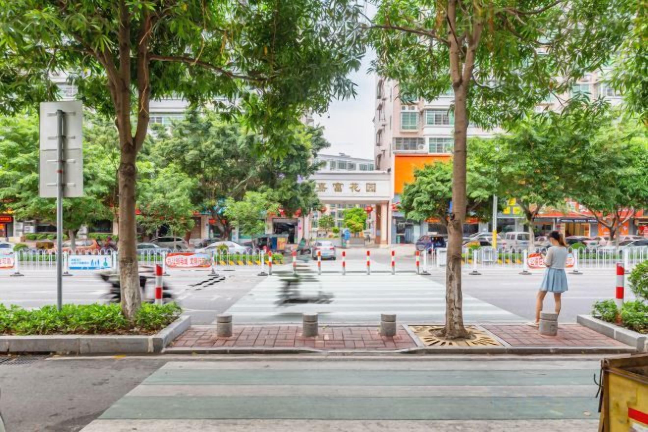 A tree-lined urban street with a pedestrian crossing, buildings, and a clear sky.
