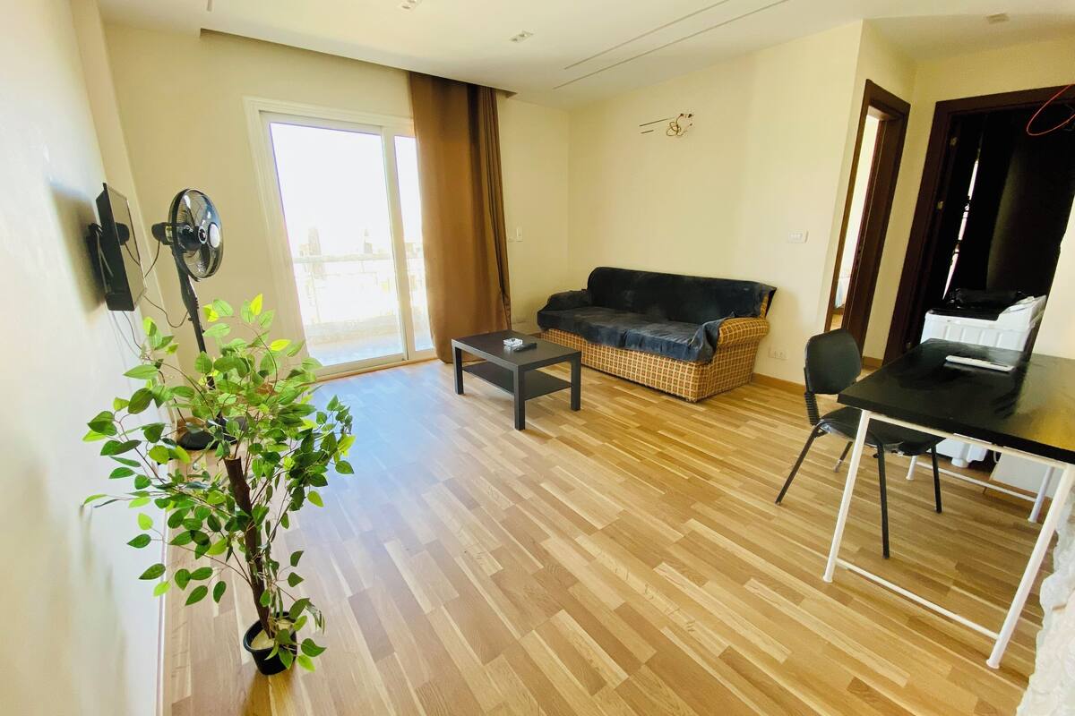 Un salon comprenant un canapé, une table basse, une table à manger et une plante en pot.