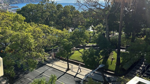A view of a coastal area with a clear sky, a body of water, and a pedestrian pathway with trees.