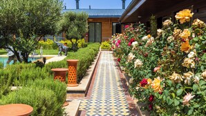 Exterior - Dar Zarrouk  (Briech)