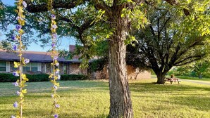 A wooden swing hanging from a tree in a grassy yard with a brick house in the background.