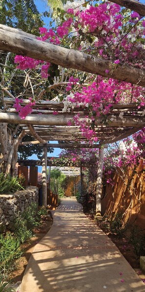 Entrée de l’hébergement