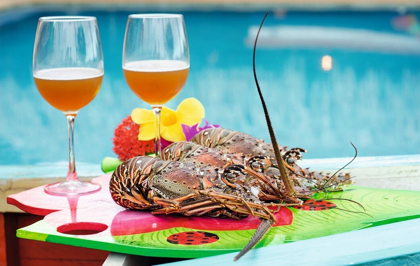 A lobster on a colorful table with two glasses of beer.
