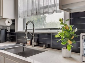 A modern kitchen with a double sink, a stainless steel faucet, a potted plant, and a window with sheer curtains.