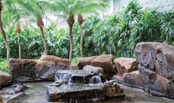 Terrain de l’hébergement 