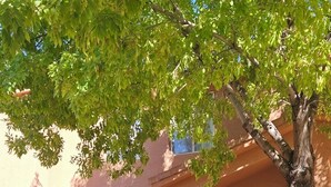 A building with a stone facade, a large window, and a door. - Kanab Vacation Rental Condo, Pool, Hot Tub, Gym, 3BR 2BA Close to Zion NP! (Kanab)
