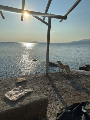Property grounds - Farmhouse in an olive grove in Pelion Greece near Volos directly by the sea (Afissos)