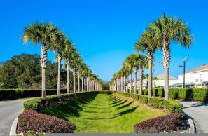 A street lined with palm trees and manicured lawns, leading to a building with a white facade. - Serenity 3Bd Close to Disney Orlando (Clermont)