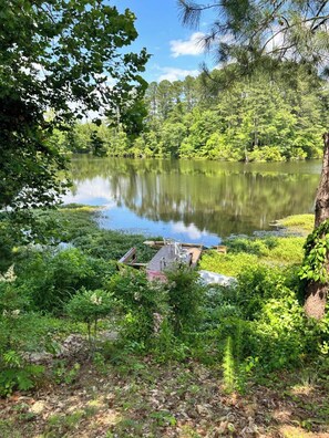 Property grounds - Quiet Lakeview Near Downtown & Hospital (Suffolk)