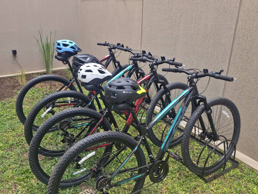 A row of bicycles parked outside a building with a concrete wall and windows.