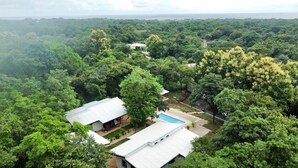 A residential area with two houses, a swimming pool, and dense surrounding greenery.