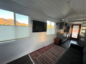 Televisor 