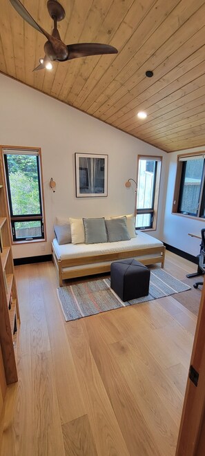 Smart TV, caminetto, libri, impianto stereo