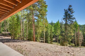 A forested area with a wooden structure, likely a cabin or lodge, surrounded by tall pine trees.