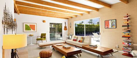 Smart TV, chimenea, libros, biblioteca de música