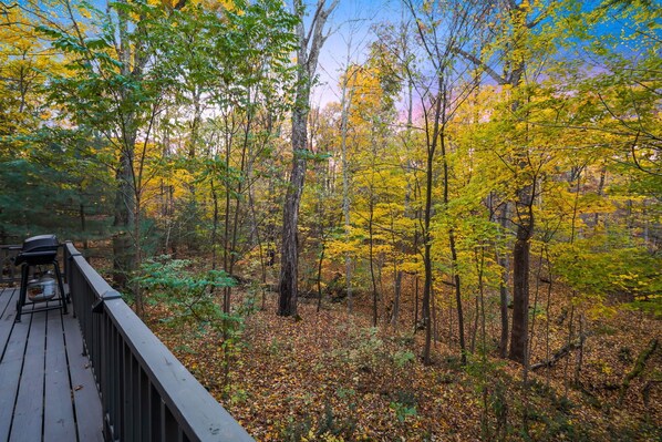 A deck overlooking a forest with autumn foliage.
