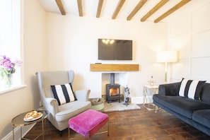TV, fireplace, video games