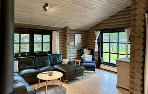 Cheminée, chaîne hi-fi