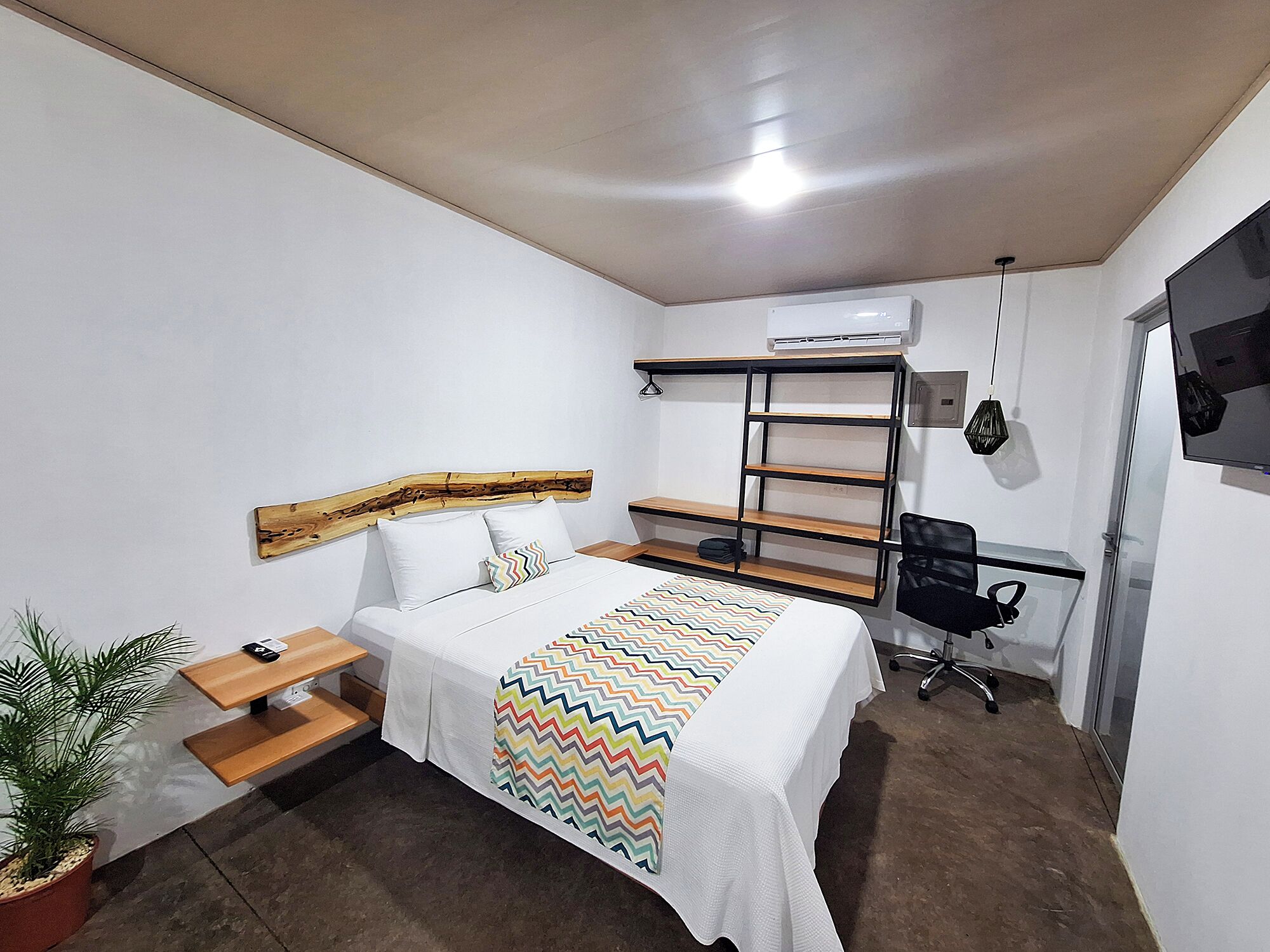 Habitación de hotel pequeña con cama, escritorio, silla, estantería pequeña, planta en maceta y televisor montado en la pared.