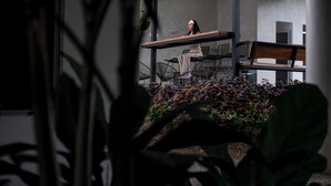 Un interior moderno con una persona trabajando en un escritorio, rodeado de sillas y una mesa de comedor.