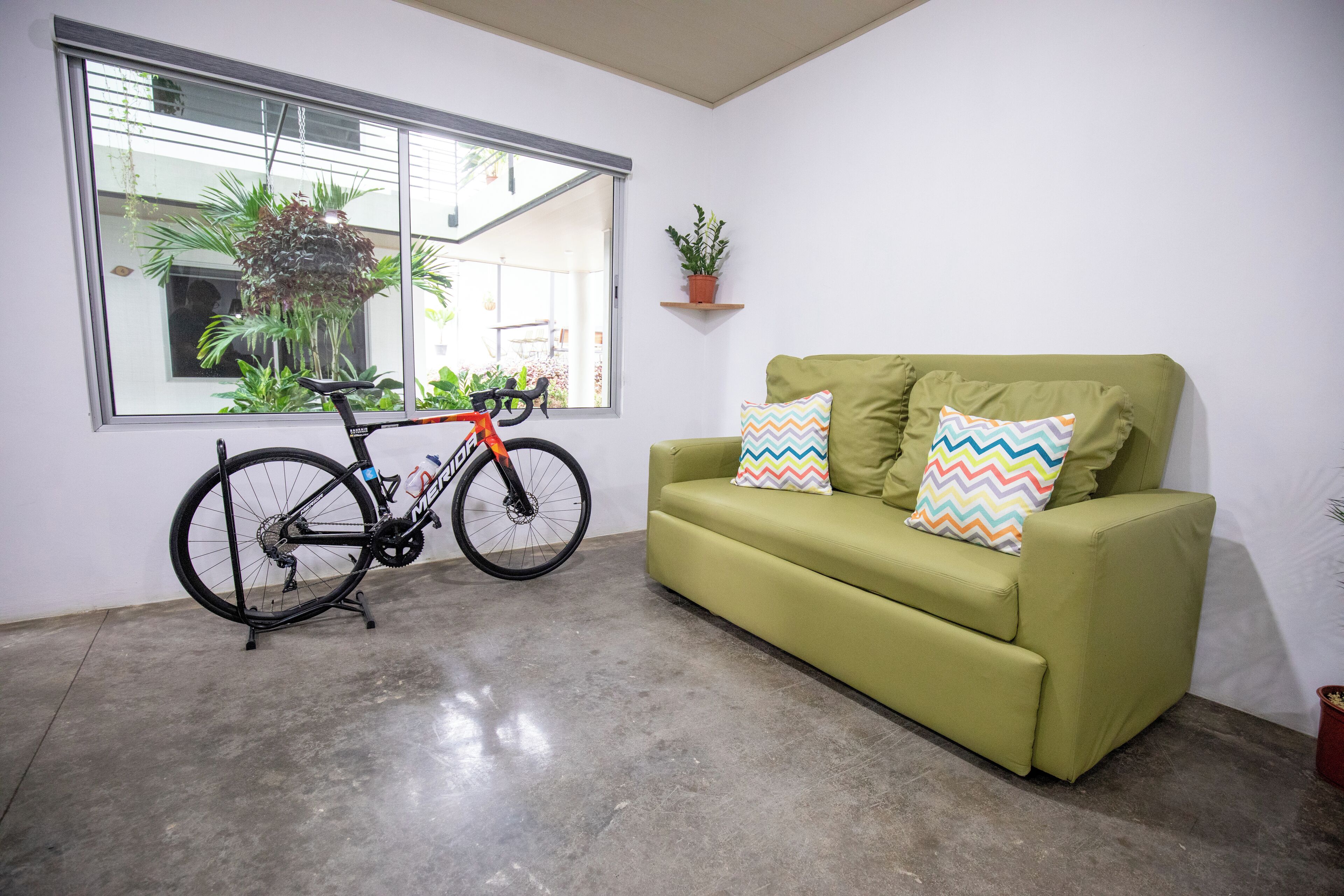 A room with a green sofa, colorful pillows, a bicycle, and a window with plants.