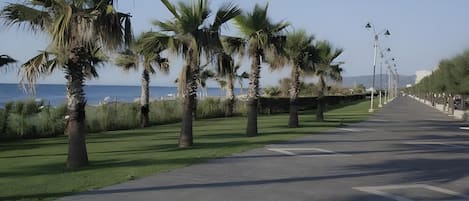 Terrain de l’hébergement