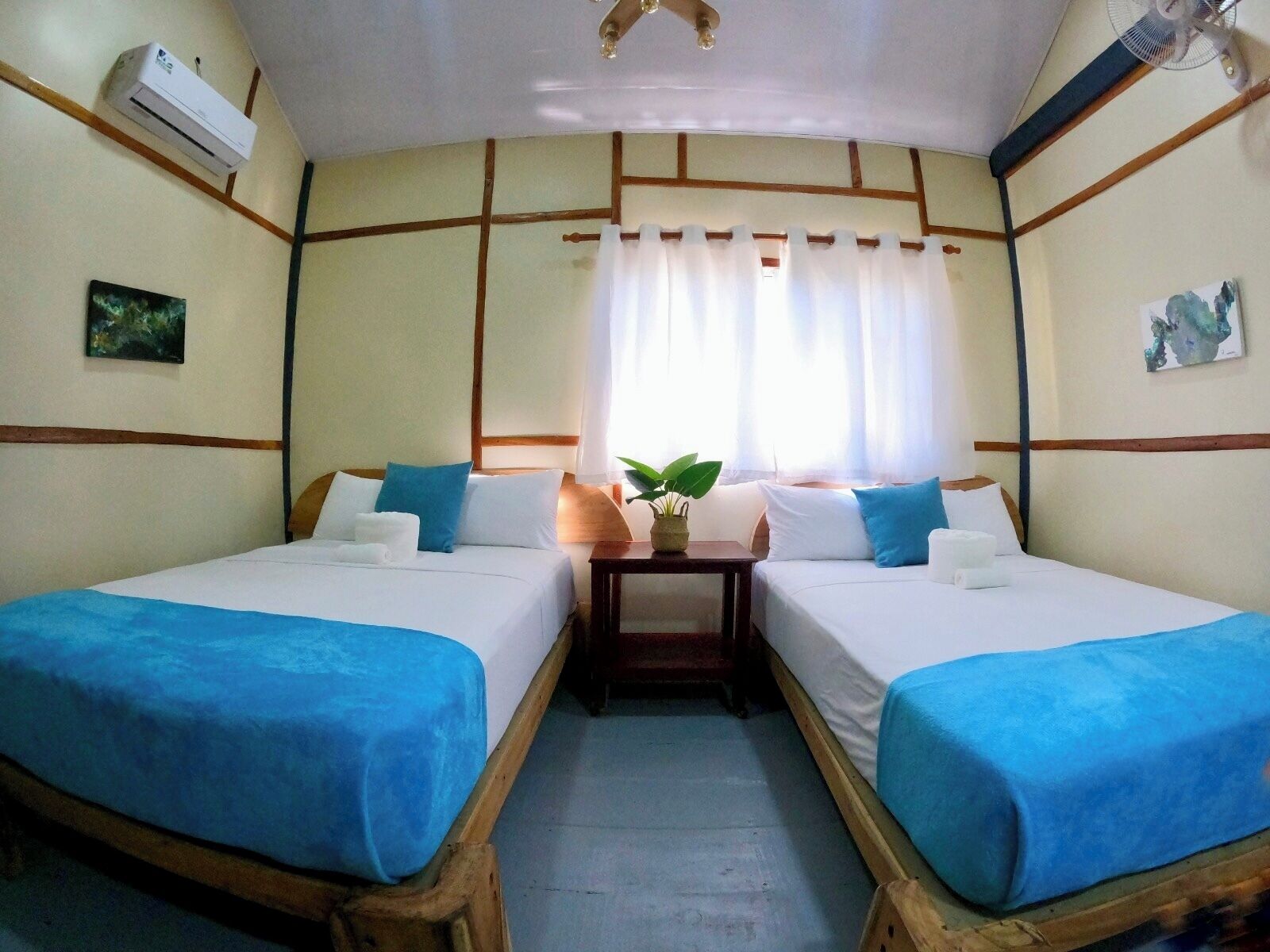 A room with two beds, a small table with a plant, and a window with curtains.