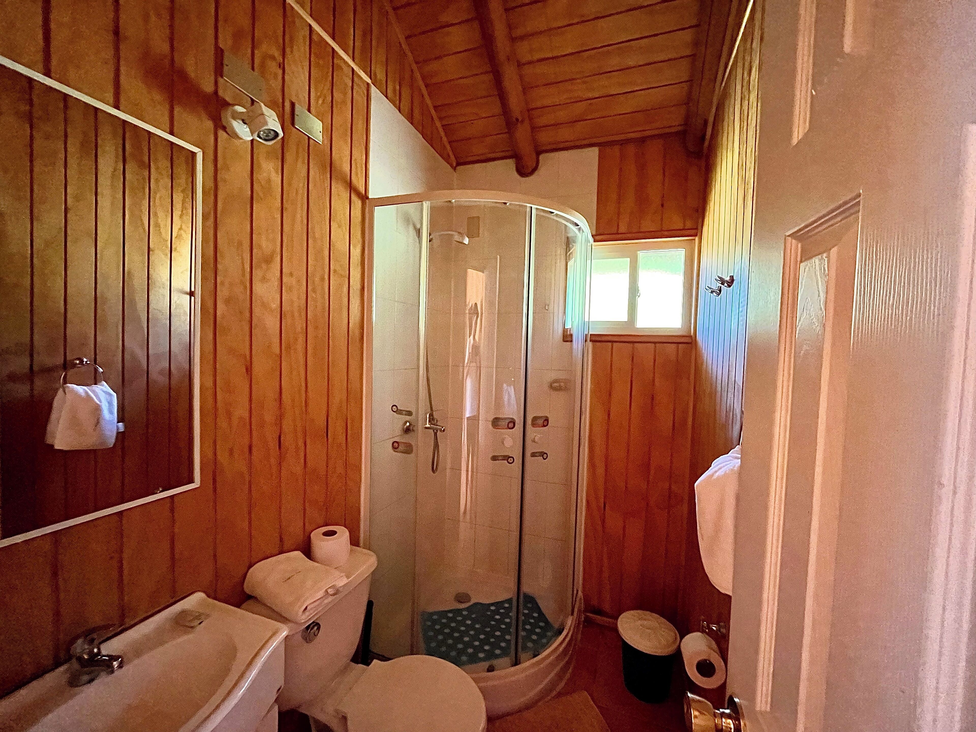 A bathroom with wooden paneling, a toilet, a sink, a shower enclosure, and a mirror.