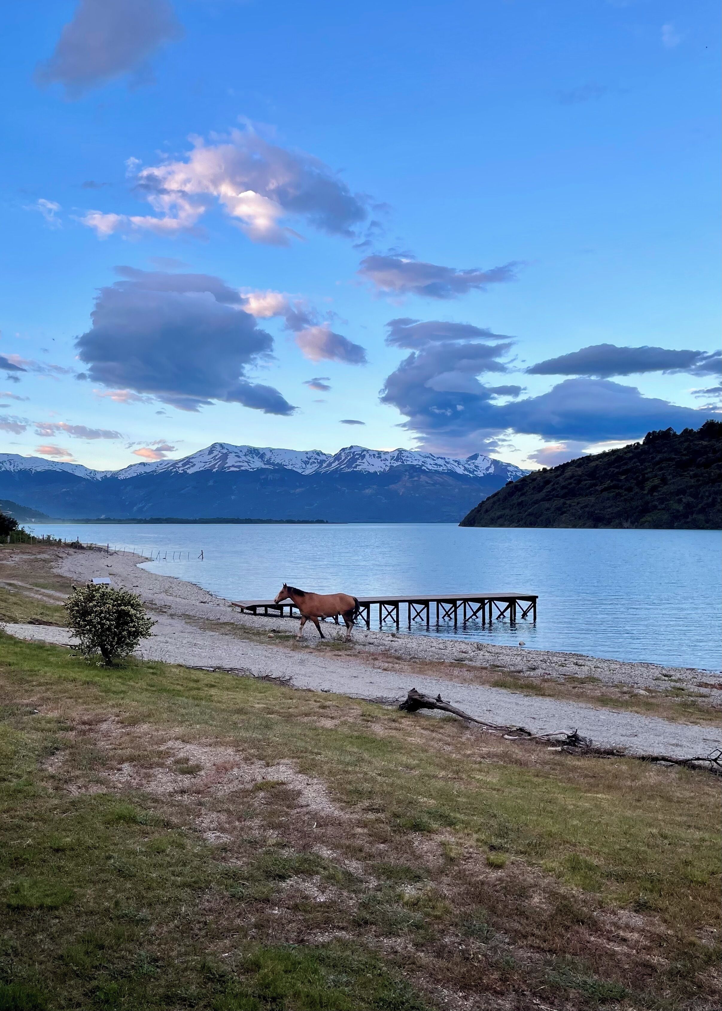 Un cheval se trouve près d’un quai en bois, au bord d’un lac, avec des montagnes en arrière-plan.