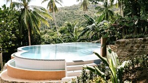 A circular infinity pool with a stone wall and steps, surrounded by tropical vegetation and palm trees. - Shepherd's Ridge Mountain Resort (Mabitac)