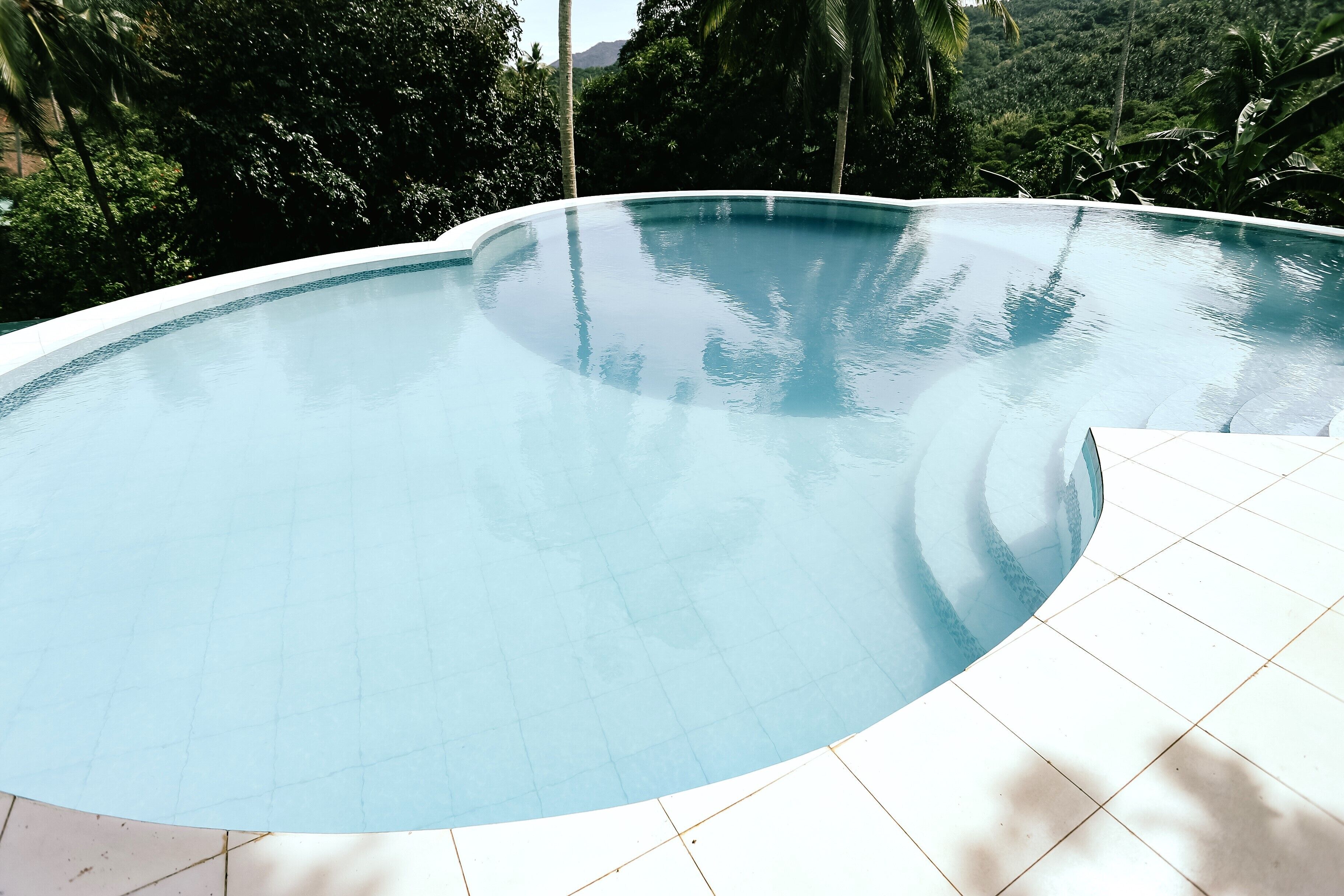 Una piscina infinita curva con borde de baldosas blancas, rodeada de exuberante vegetación y palmeras.