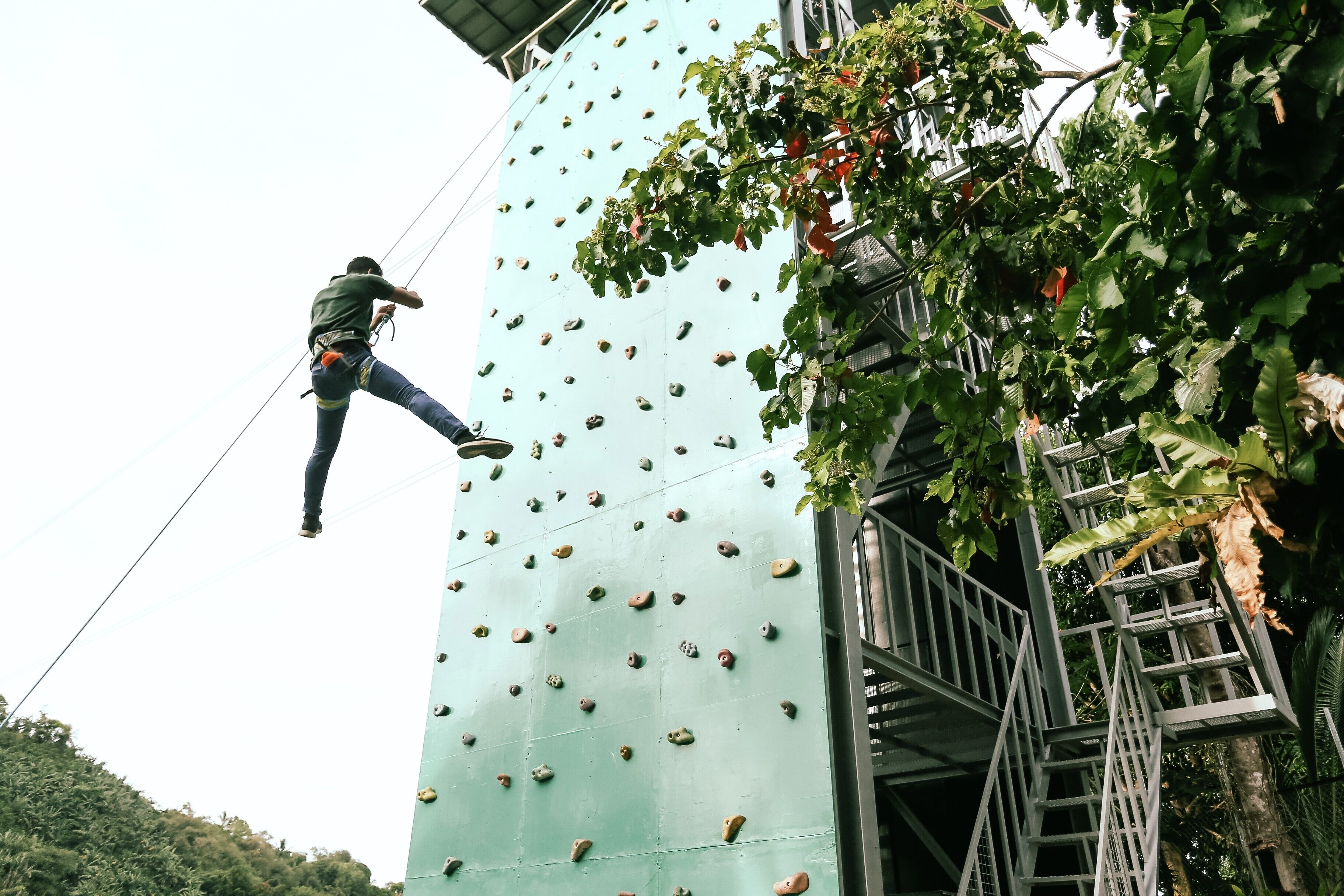 A person rappelling down a climbing wall with handholds.