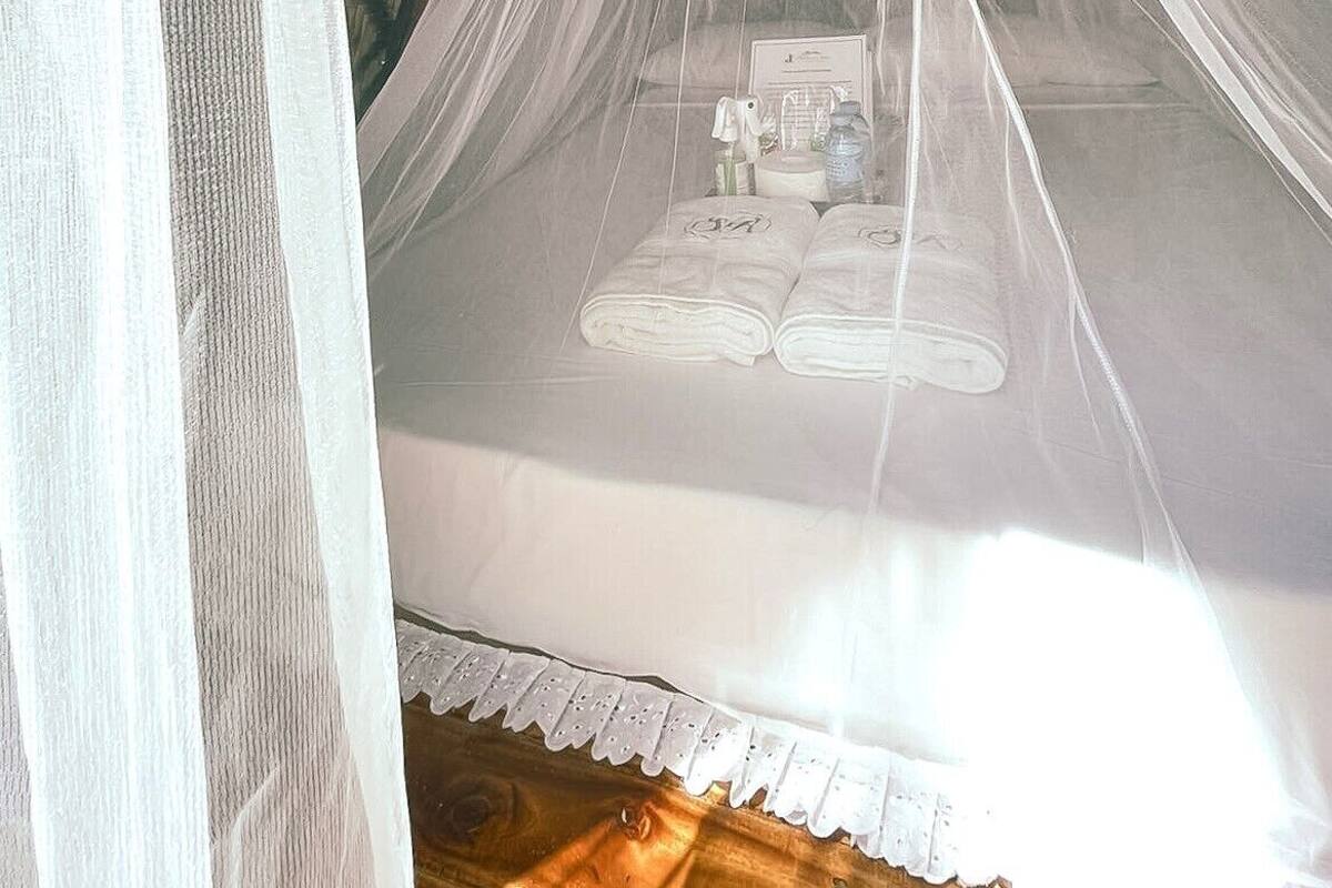 A room with a canopy bed, a patterned wall, and a small table with toiletries.