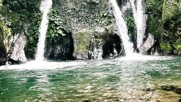 A waterfall cascading into a clear pool surrounded by dense greenery.