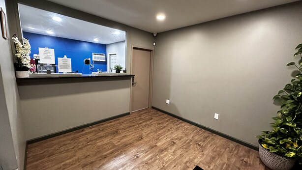 A reception area with a blue wall, a wooden floor, a reception desk, and a potted plant.