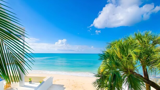 Una playa con agua turquesa cristalina, arena blanca y una palmera.