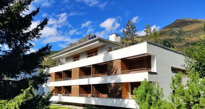 Verbena by Interhome