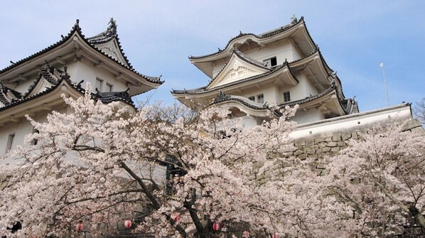 Exterior - Nonsmoking Deluxe Twin vs Room only | Enjoy / Iga Mie (Iga)