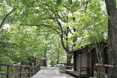 Holiday Rate Cottage plan with terrace / Hanno City Saitama