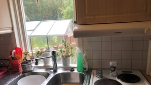 A kitchen with a double sink, a stove, and various potted plants. - Cozy Cottage in Stockholms Archipelago (Stockholms län)