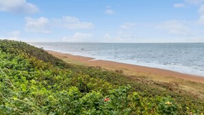 Ein Strand mit sandigem Ufer und einer grünen Vegetationslinie im Vordergrund.
