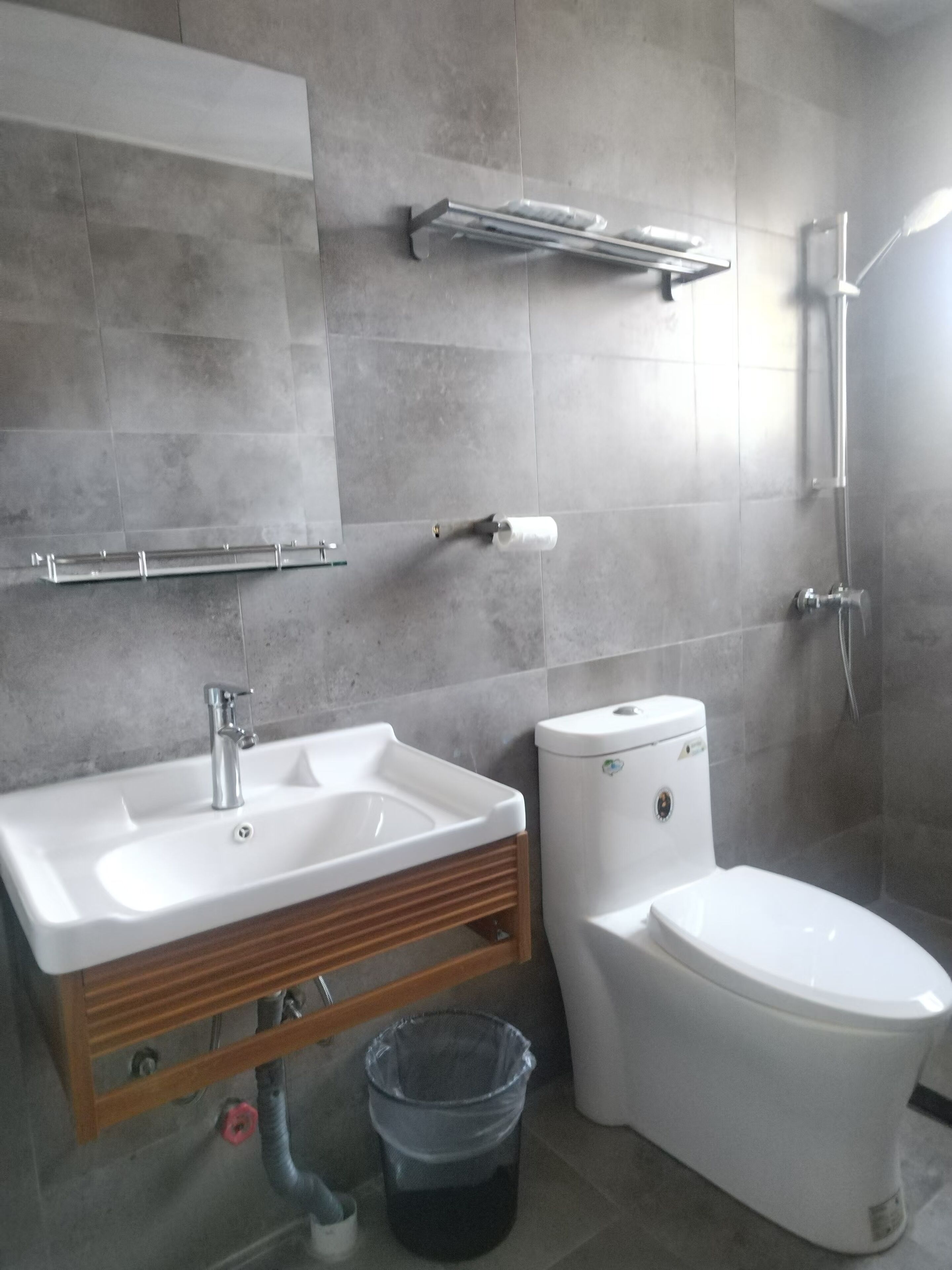 Une salle de bain avec un lavabo, des toilettes et une douche.