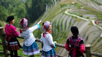 A group of people in traditional attire overlooking terraced fields.