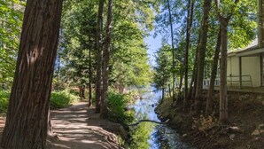 Une zone boisée avec un sentier de terre menant à un petit plan d’eau, entouré de grands arbres et bordé d’un bâtiment sur la droite.
